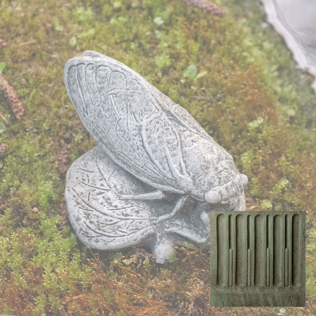 Cicada