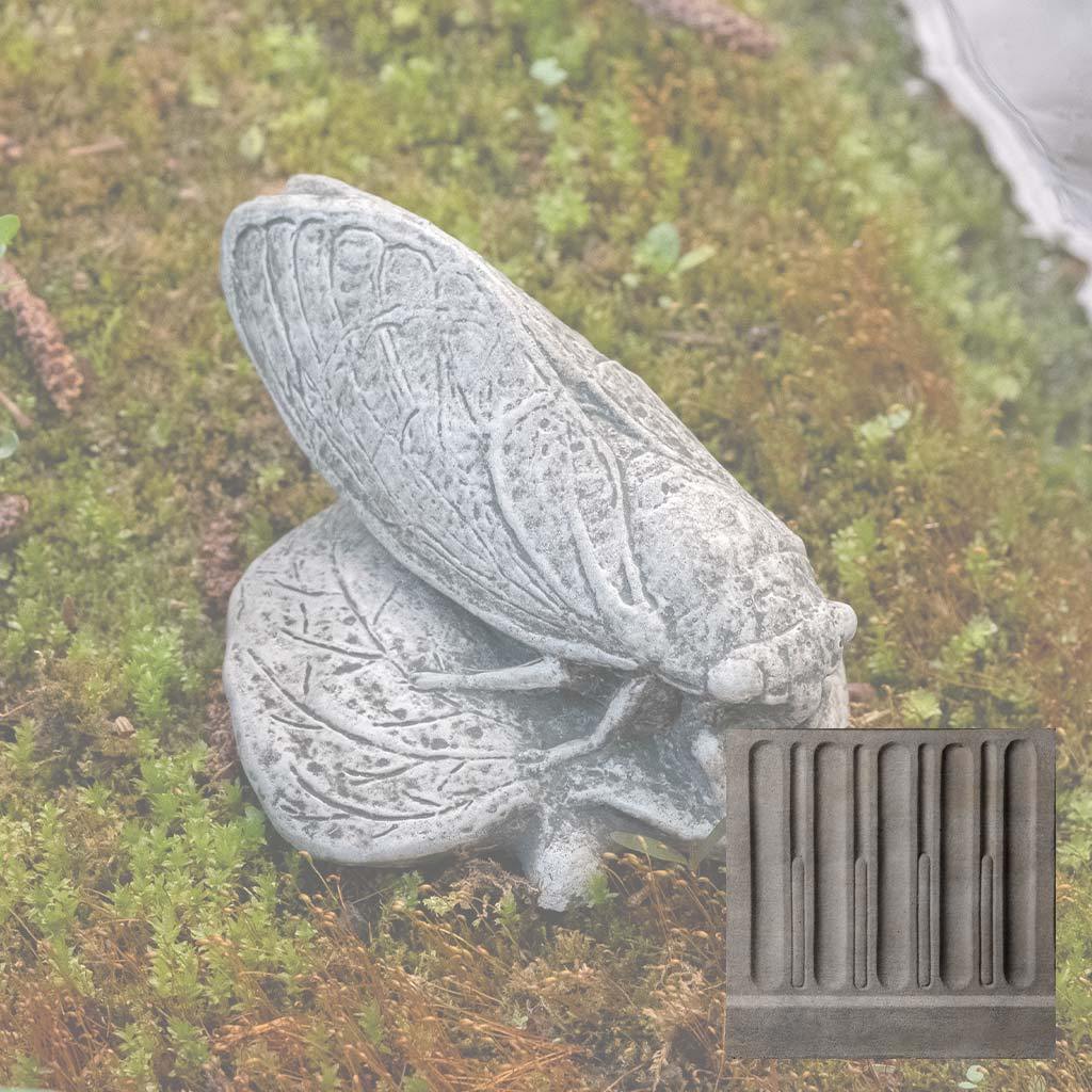 Cicada