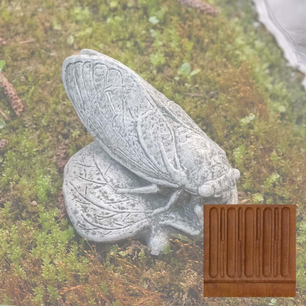 Cicada