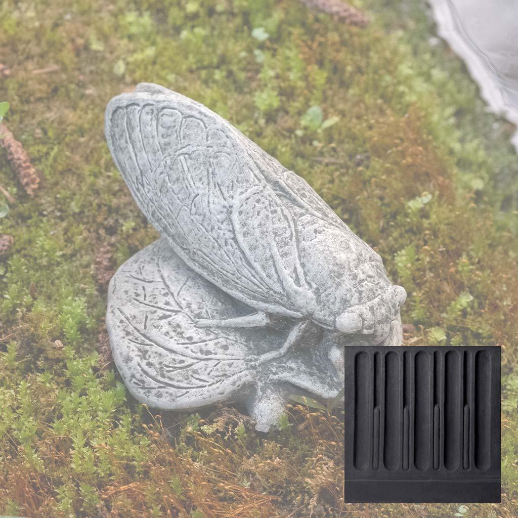 Cicada