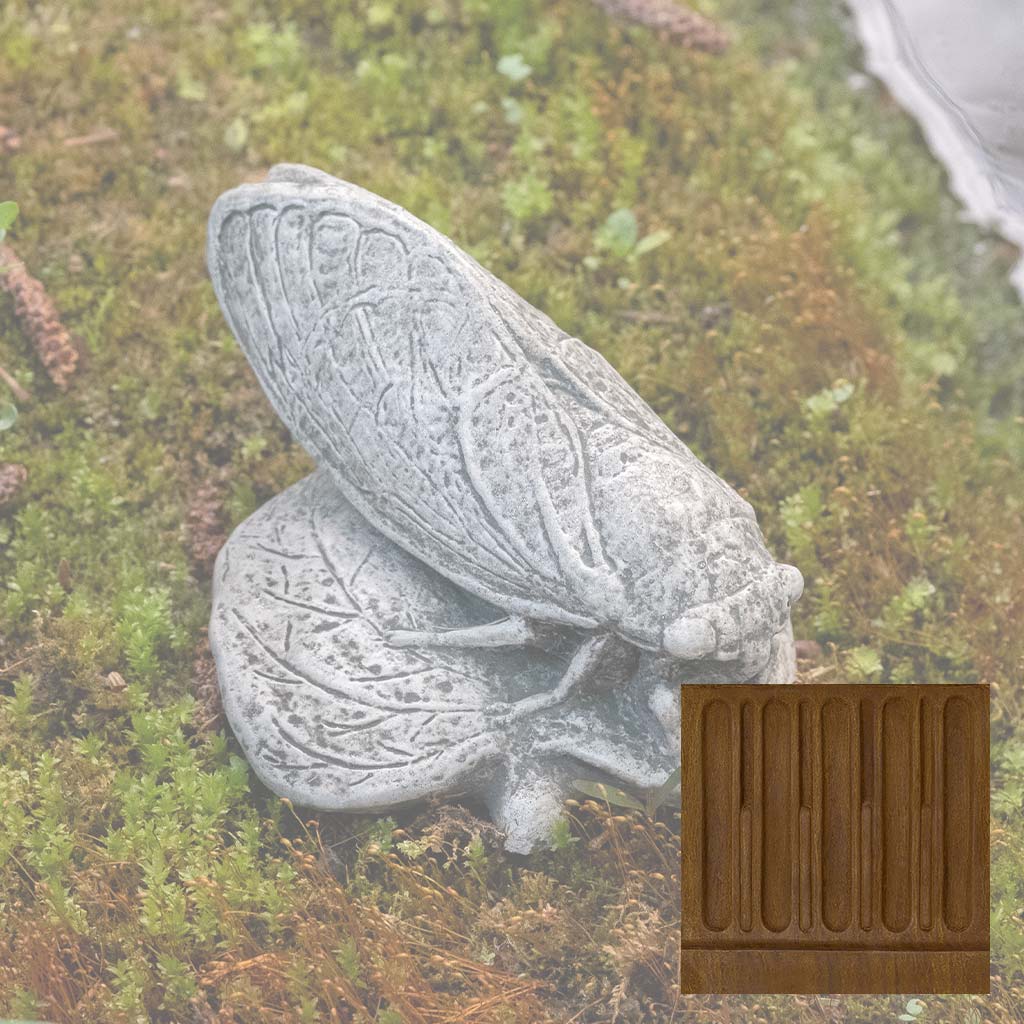 Cicada