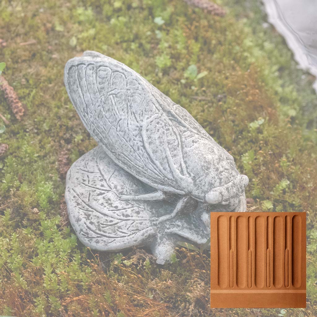 Cicada