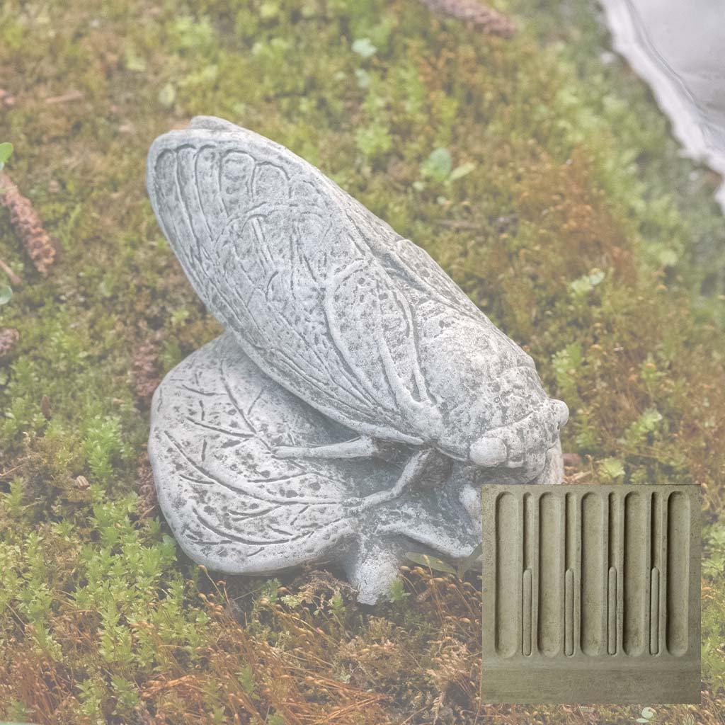 Cicada