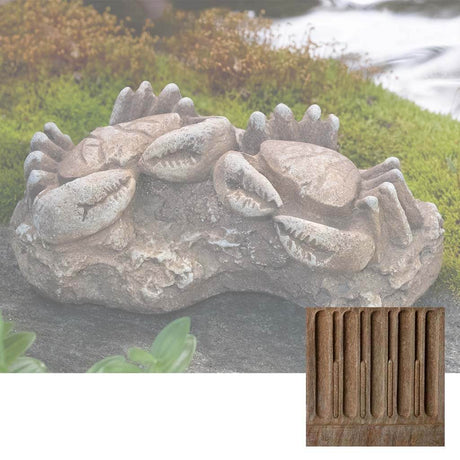 Sea Crab Fossil