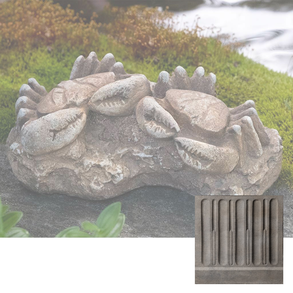 Sea Crab Fossil