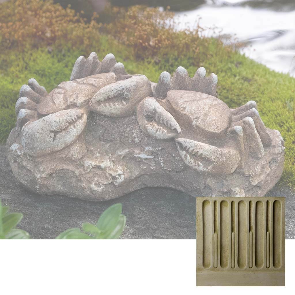 Sea Crab Fossil