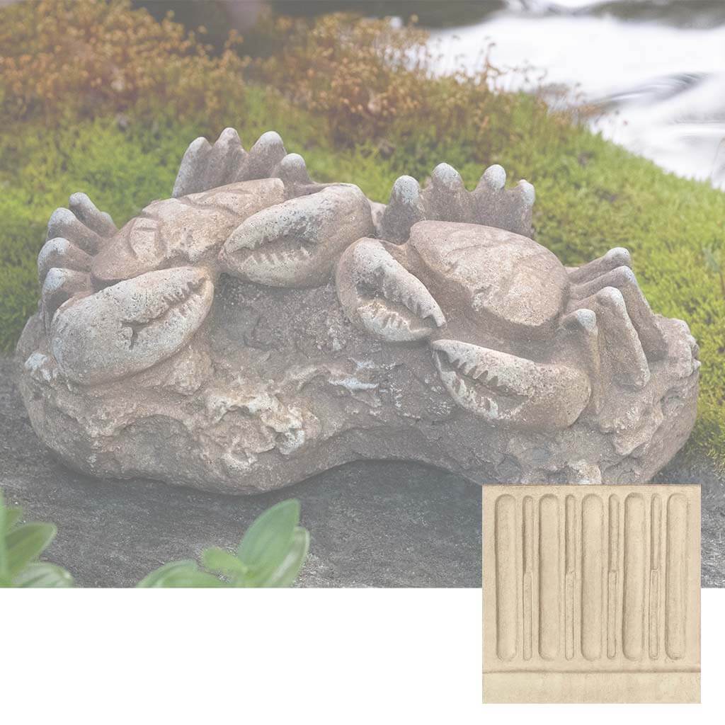 Sea Crab Fossil