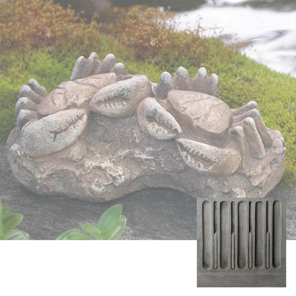 Sea Crab Fossil