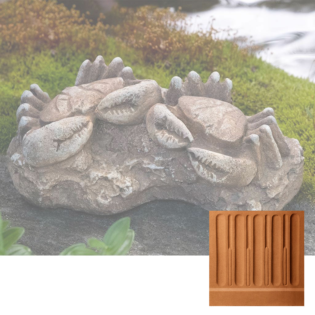 Sea Crab Fossil