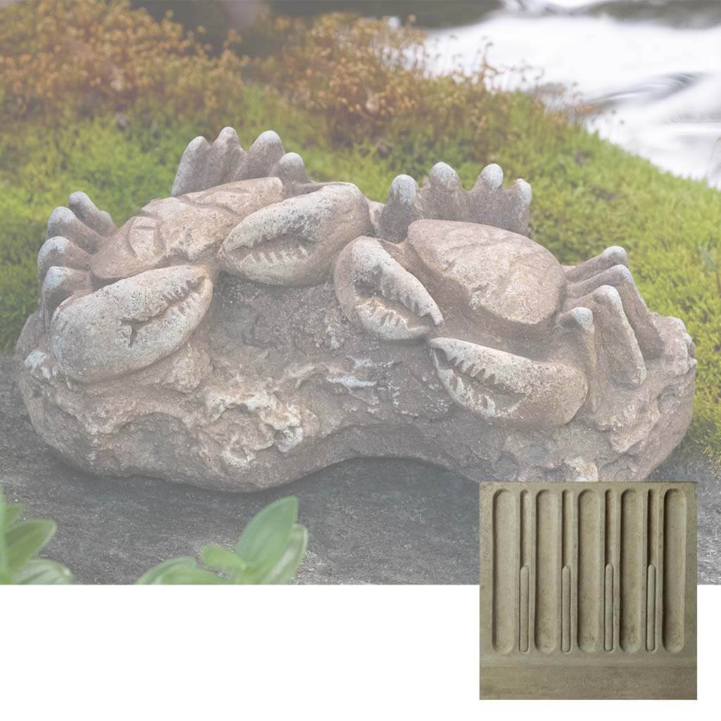 Sea Crab Fossil