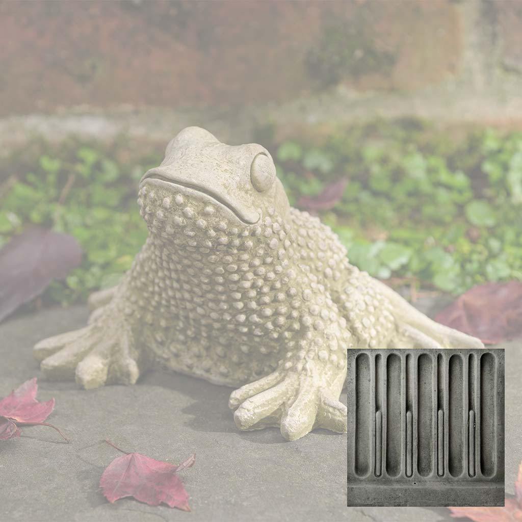 Tommy Toad