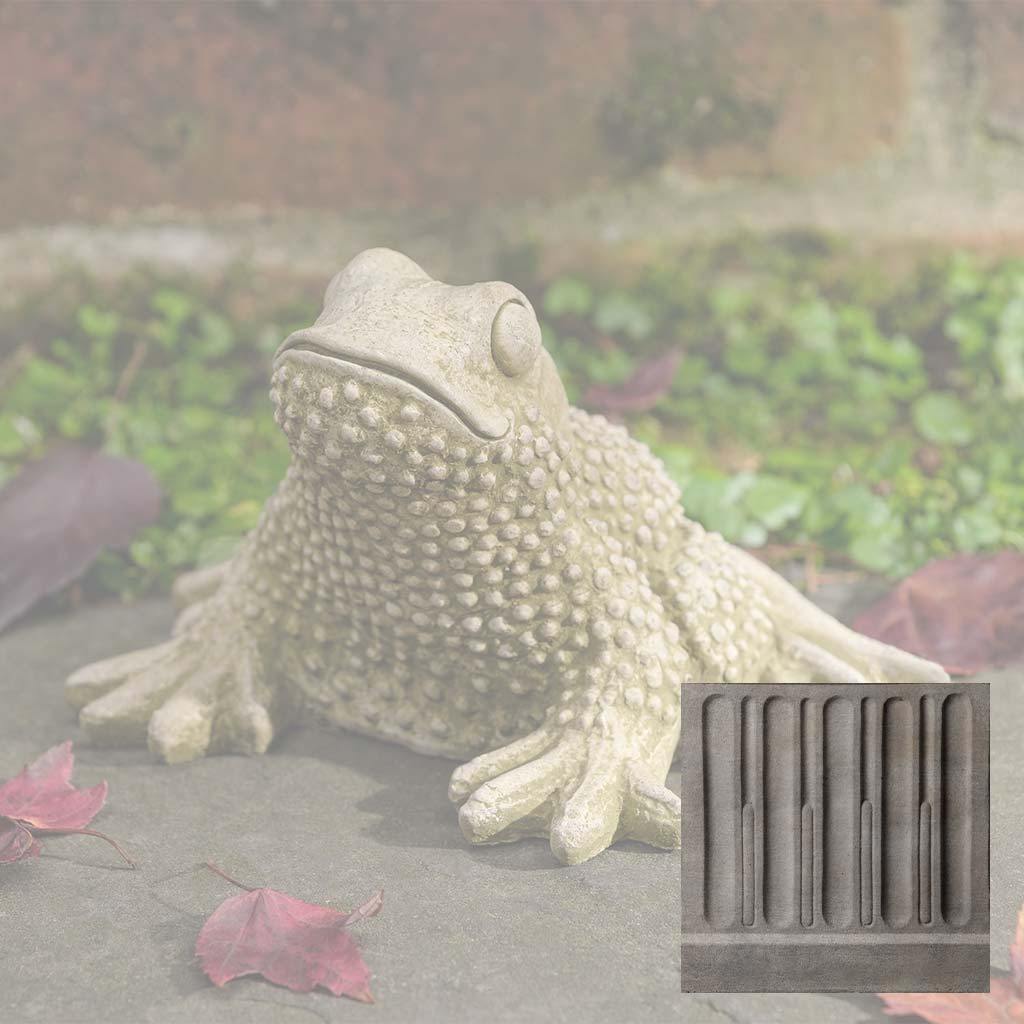 Tommy Toad