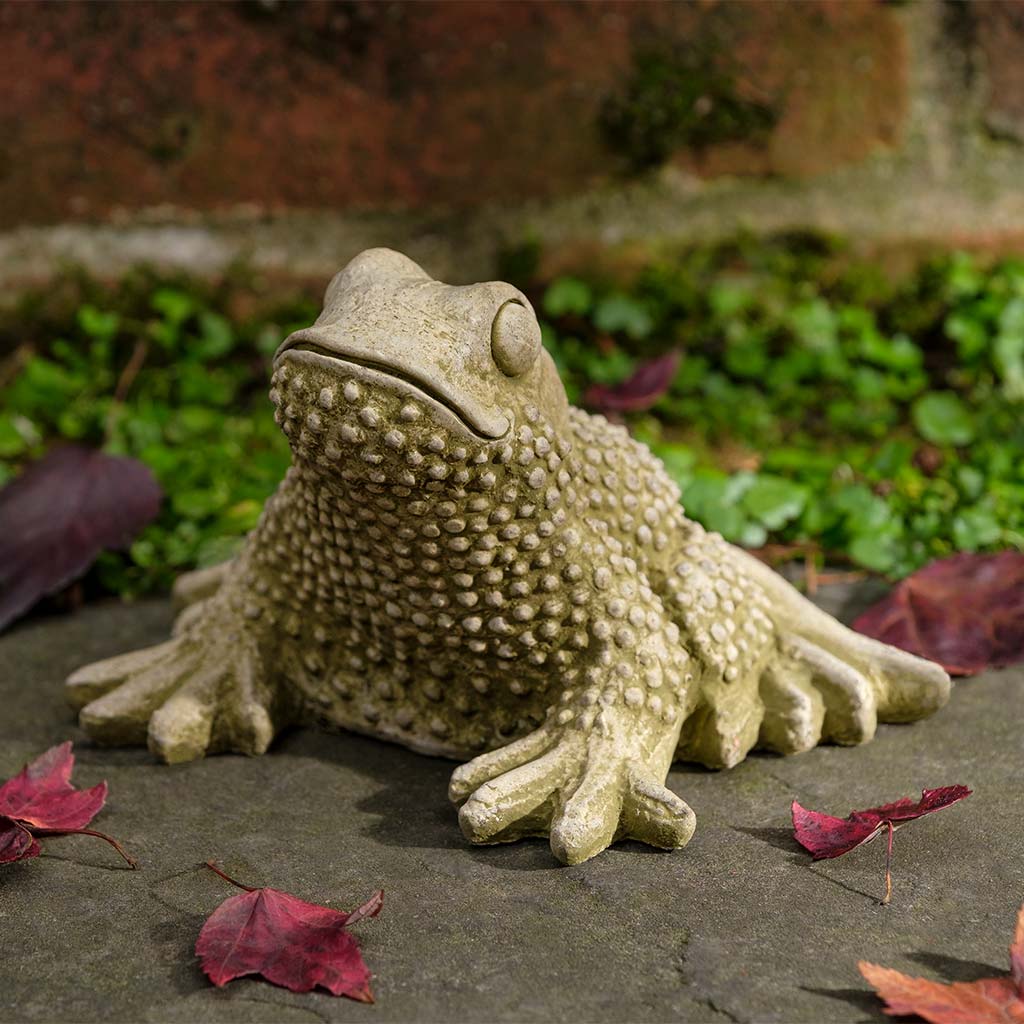 Tommy Toad