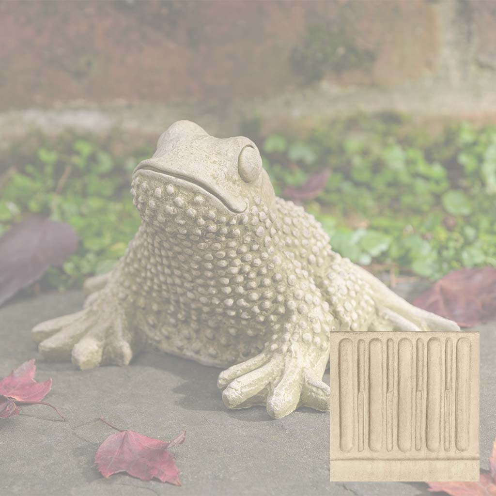 Tommy Toad