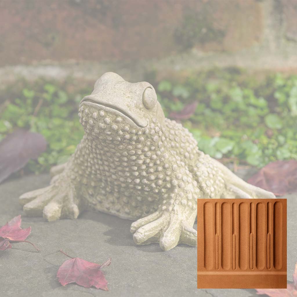 Tommy Toad