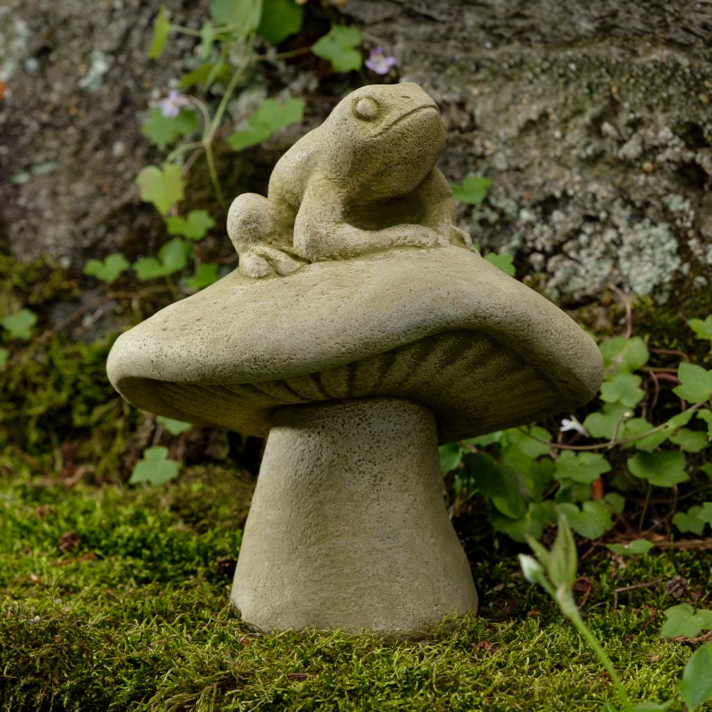 Fun Guy Frog