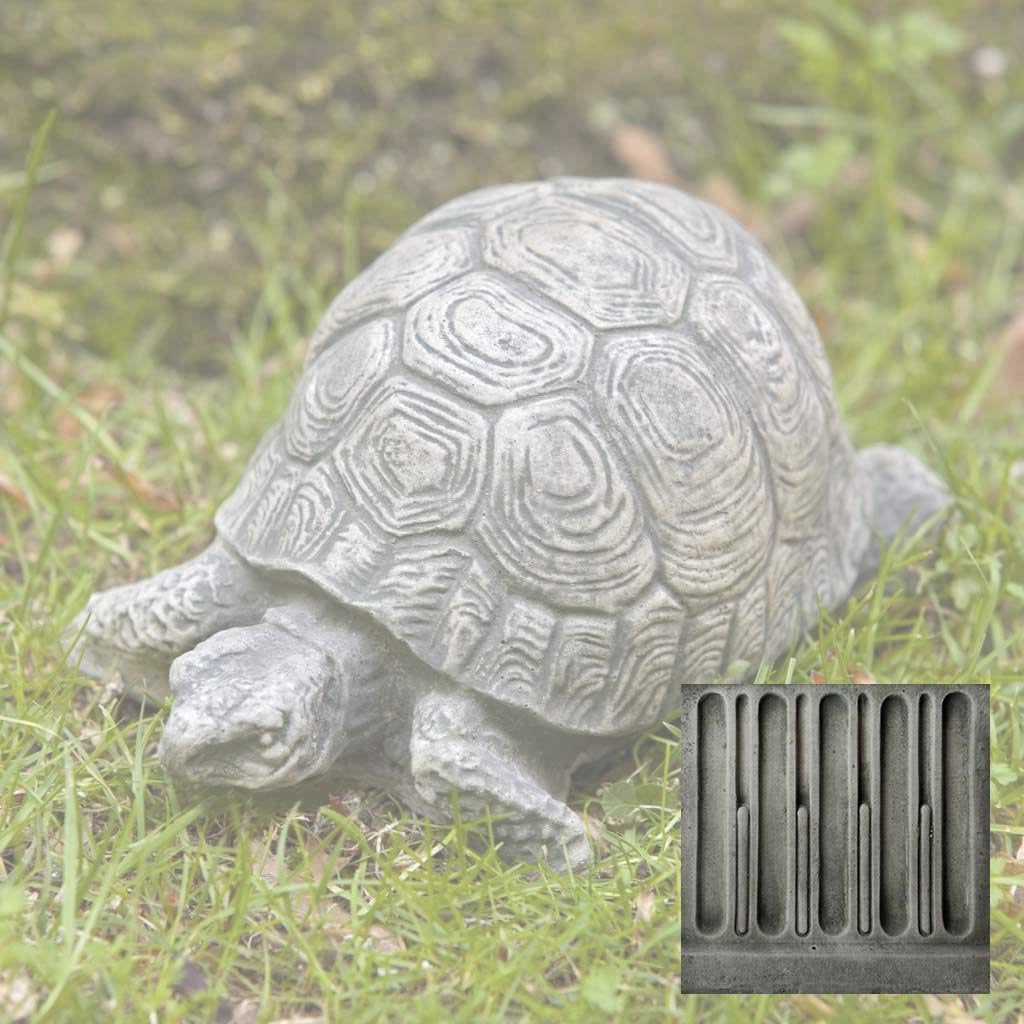 Small Turtle