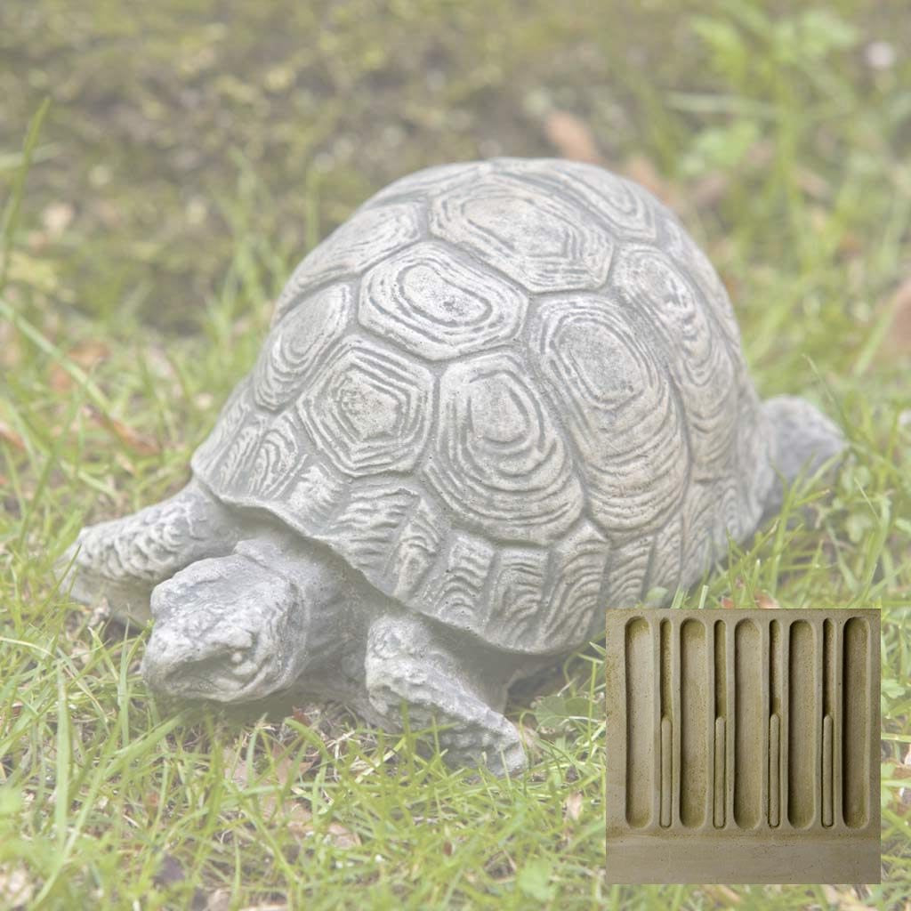 Small Turtle