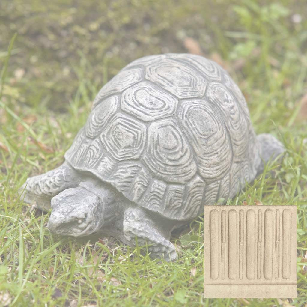 Small Turtle