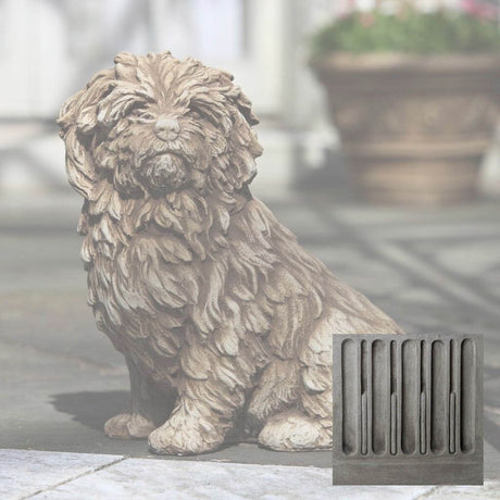 Fluffy Dog