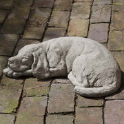 Reclining Dog