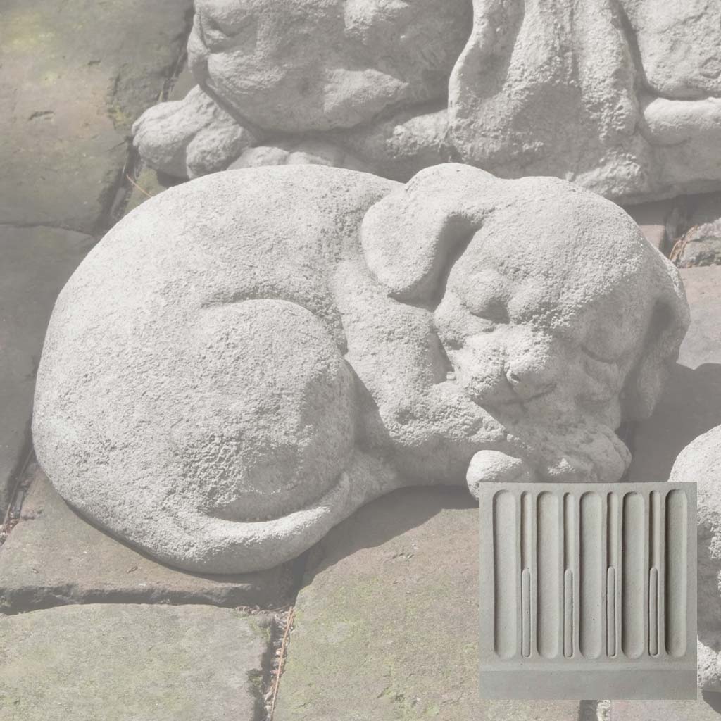 Small Curled Dog