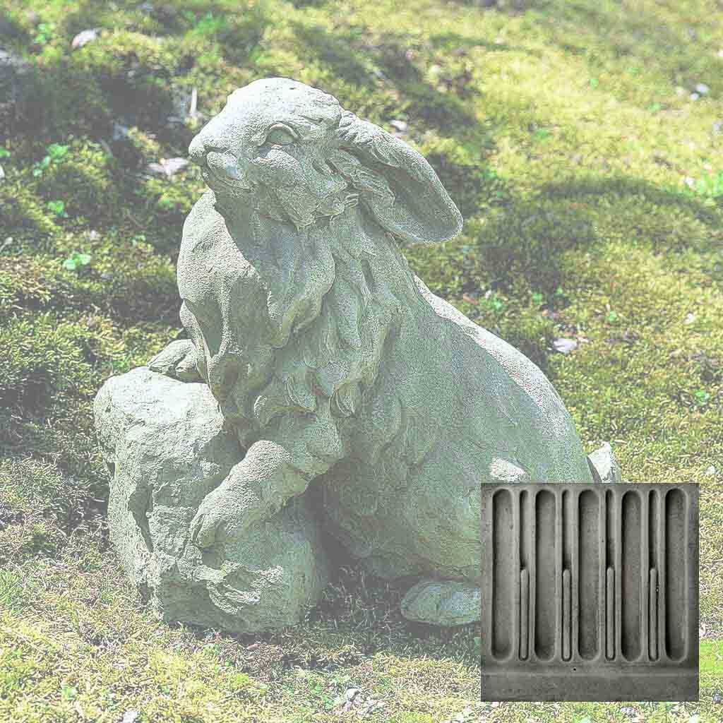 Rabbit on a Rock
