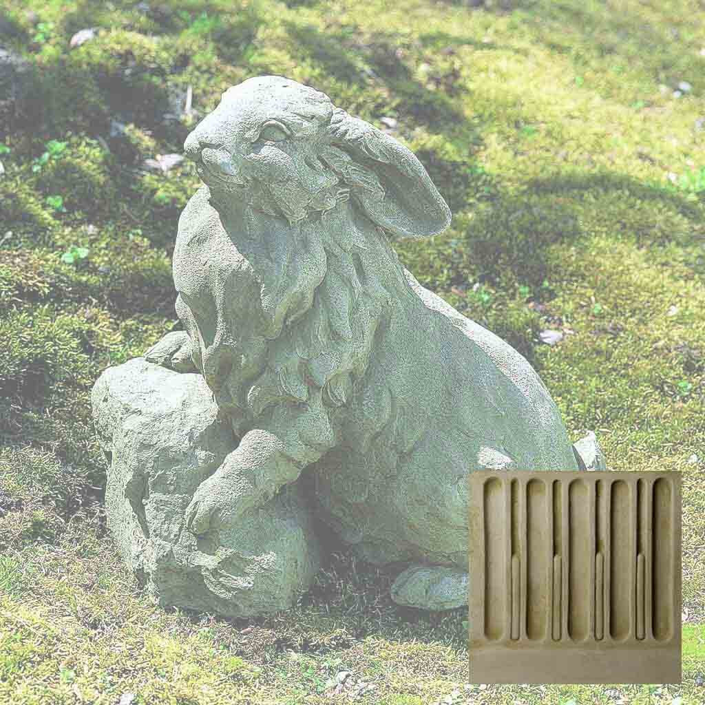 Rabbit on a Rock