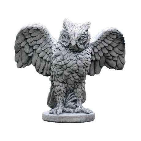 Soaring Owl