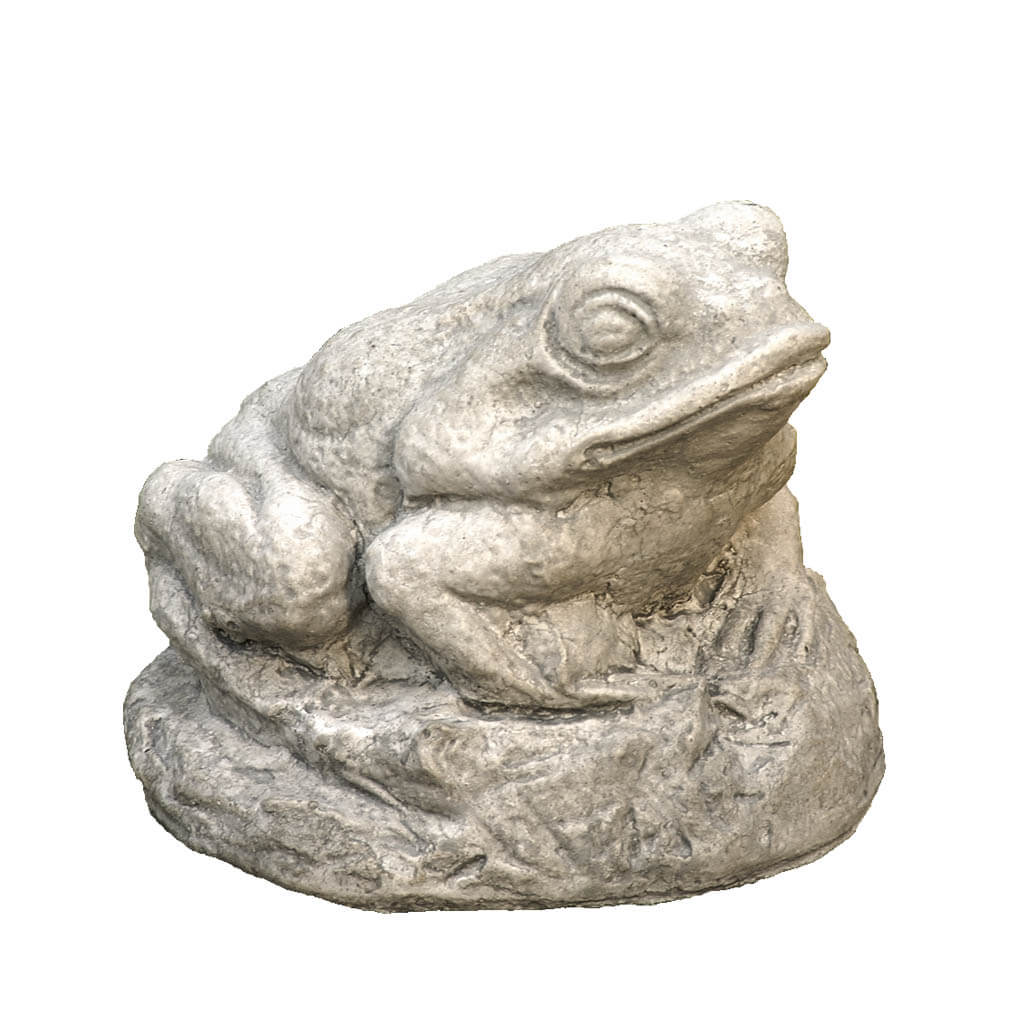 Tiny Frog