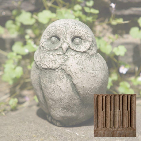 Baby Barn Owl