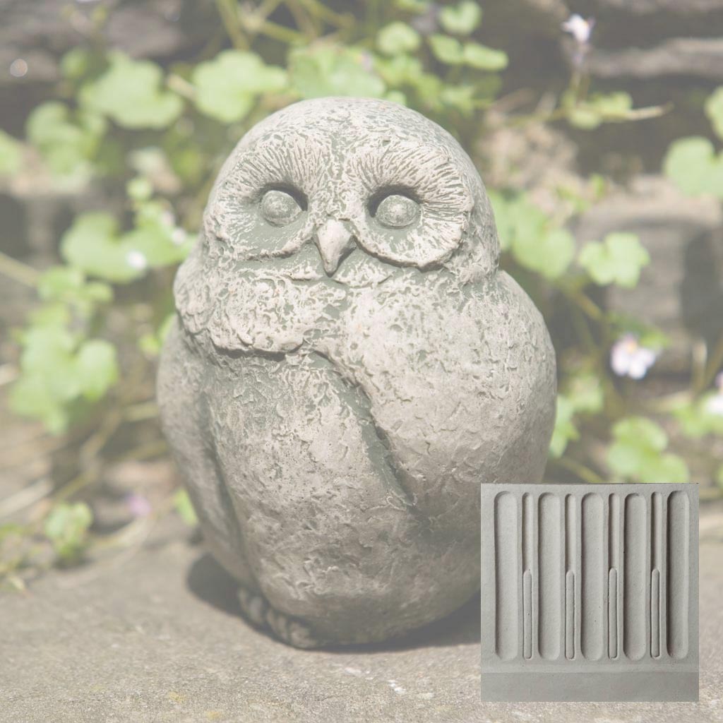 Baby Barn Owl