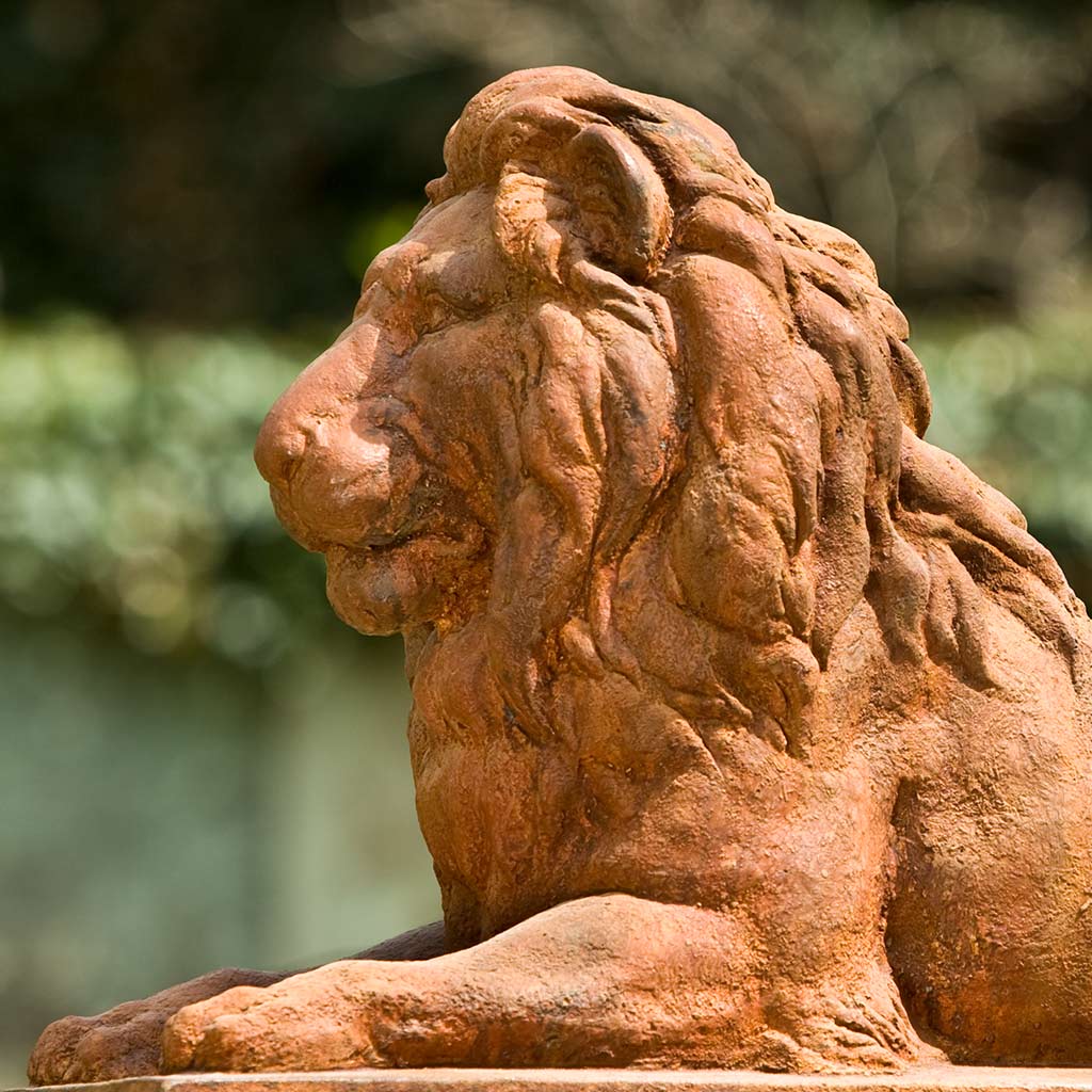 Classic Lion