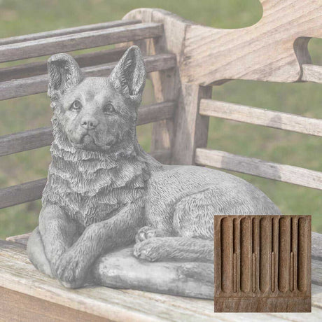 Shepherd Pup