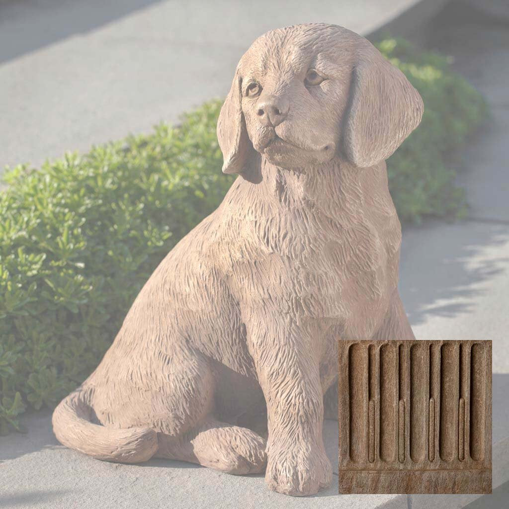 Golden Retriever Puppy