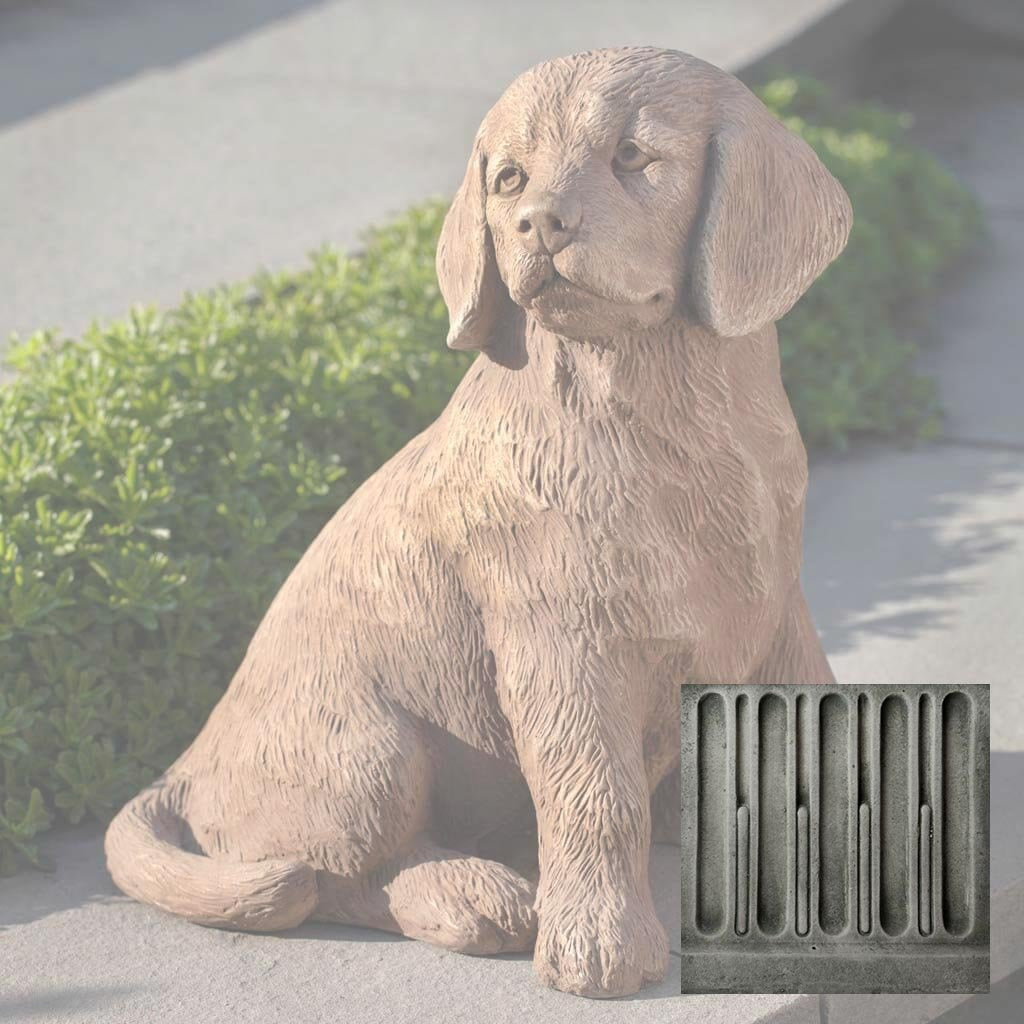 Golden Retriever Puppy