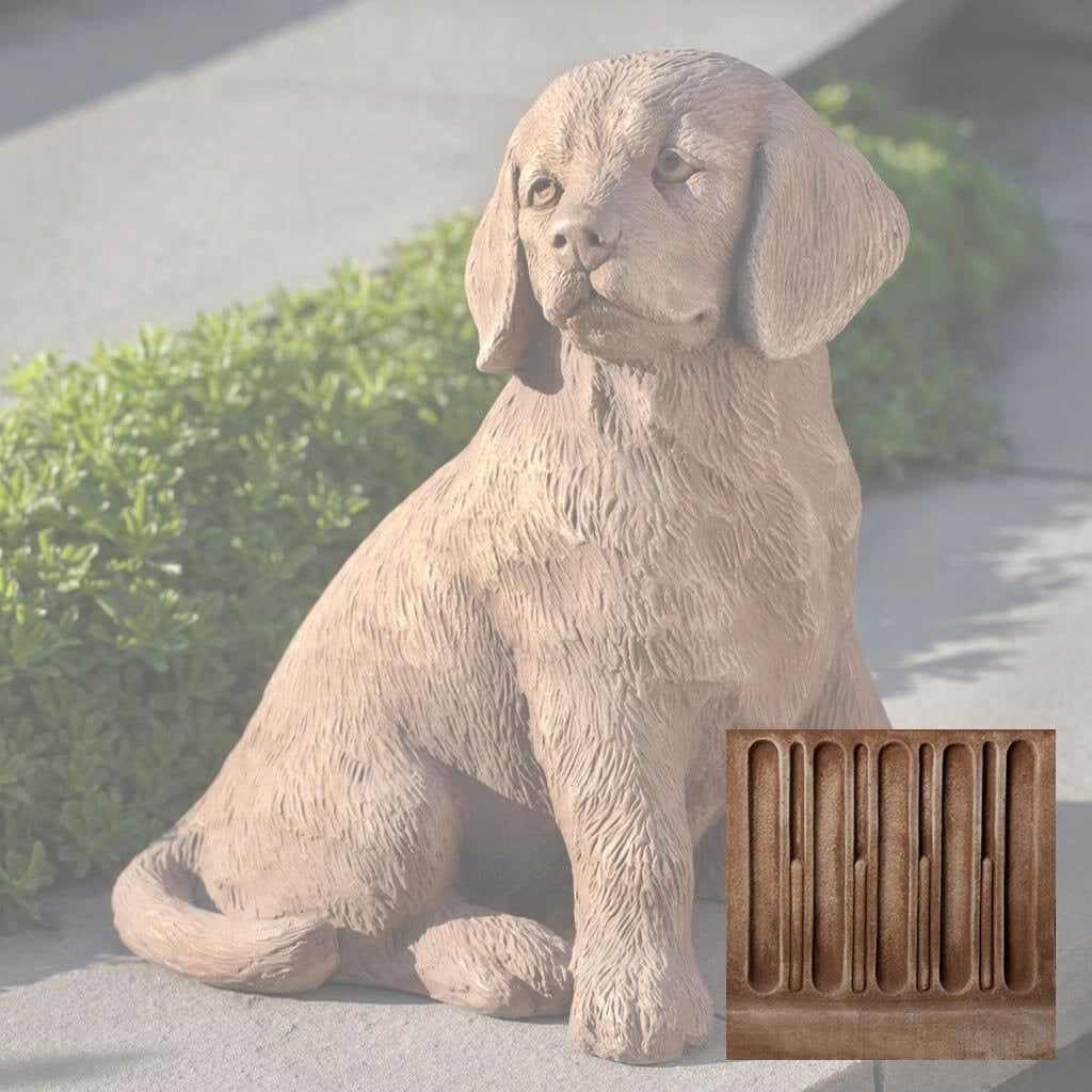 Golden Retriever Puppy