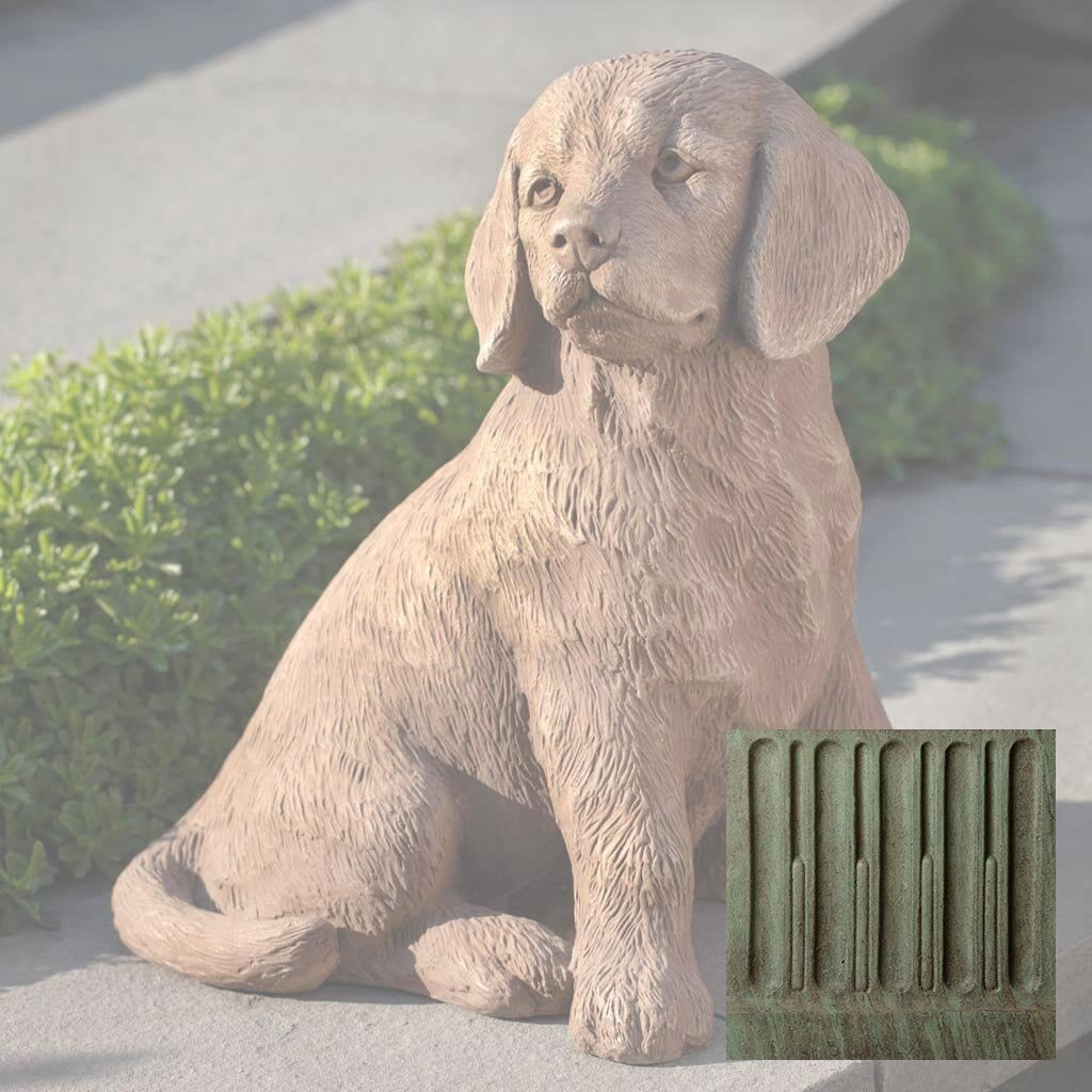 Golden Retriever Puppy