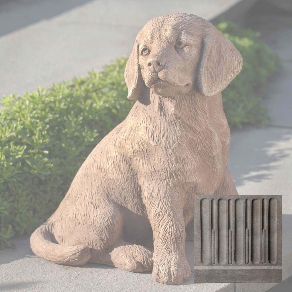 Golden Retriever Puppy