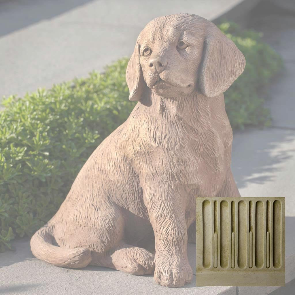 Golden Retriever Puppy