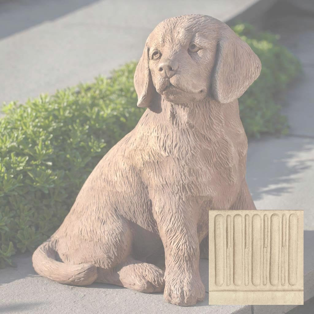 Golden Retriever Puppy