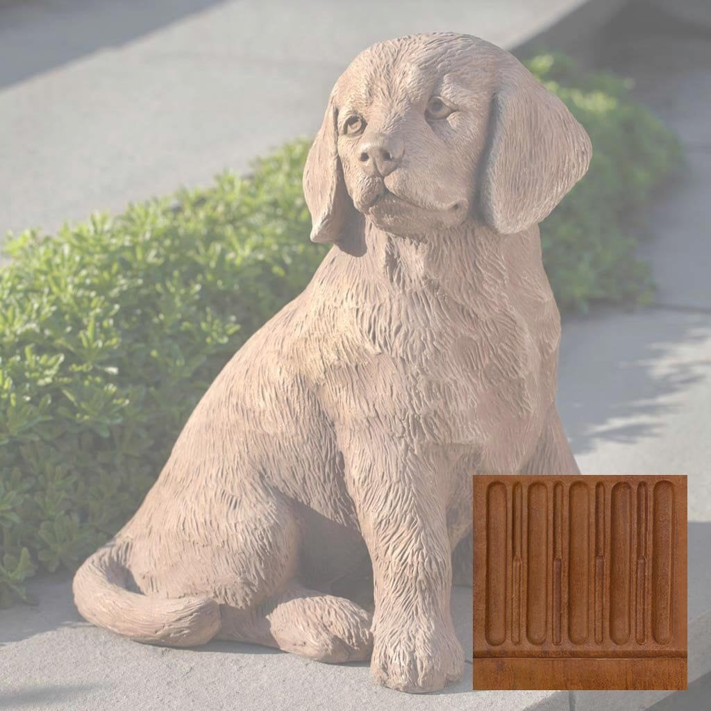 Golden Retriever Puppy