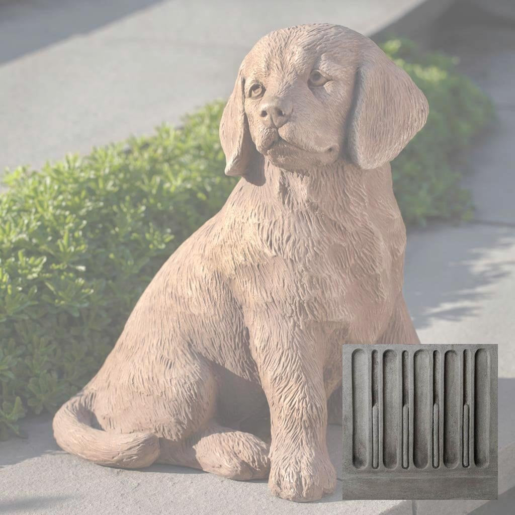 Golden Retriever Puppy