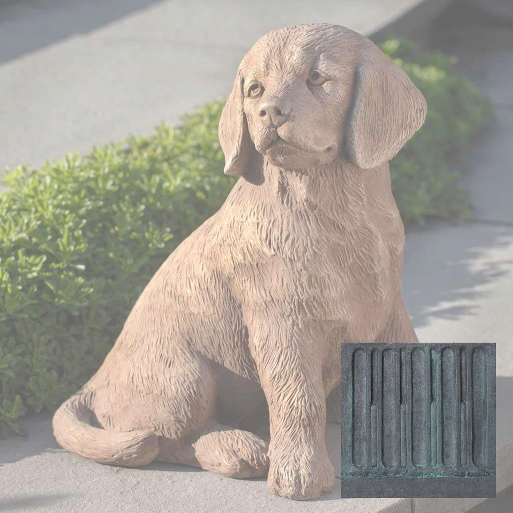 Golden Retriever Puppy