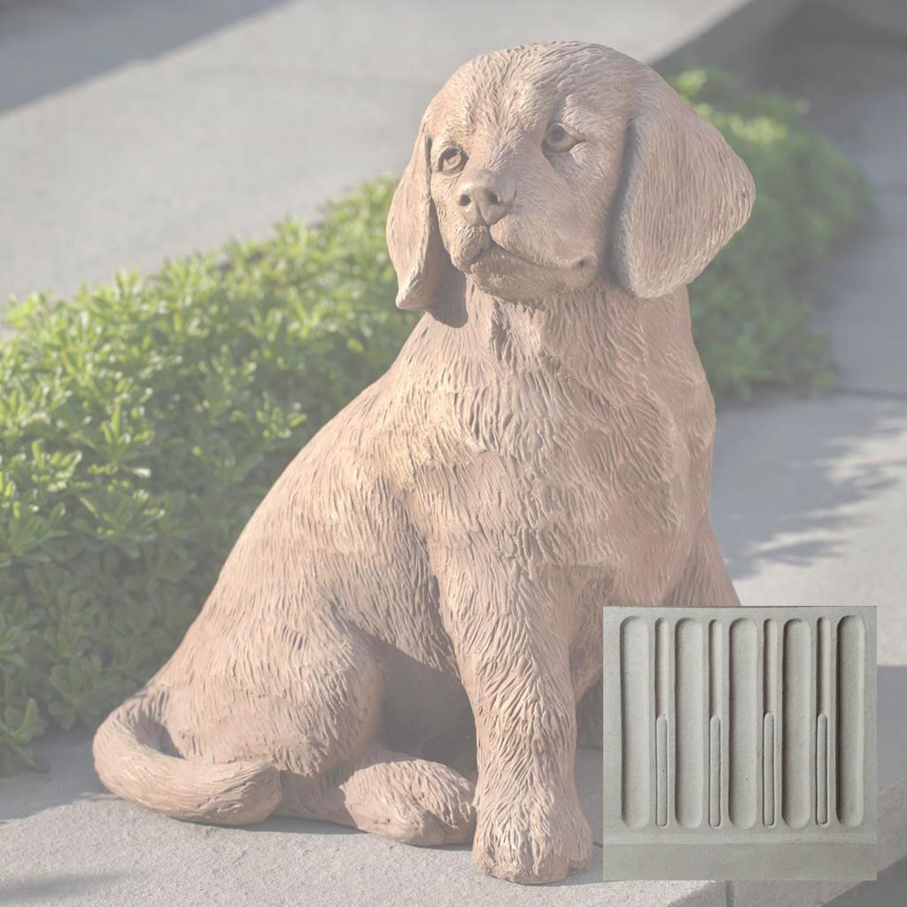 Golden Retriever Puppy