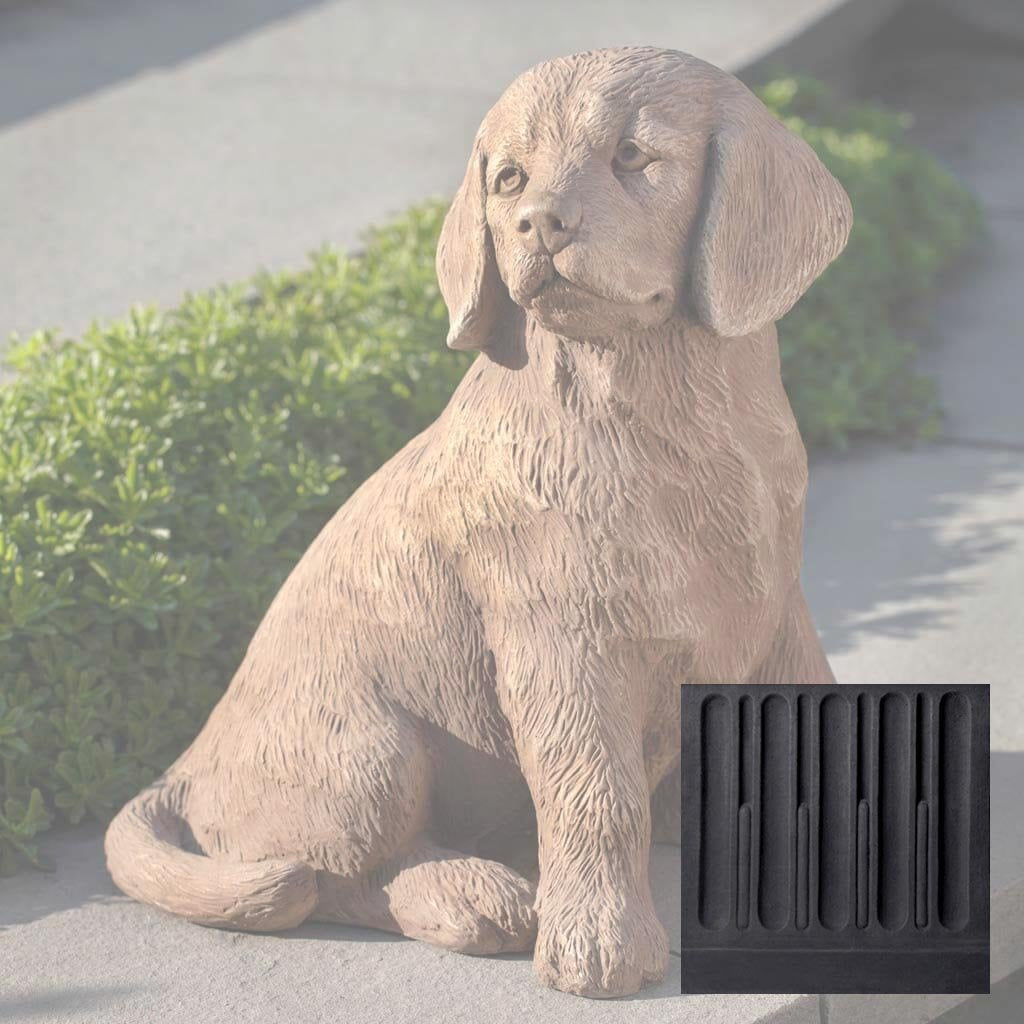 Golden Retriever Puppy