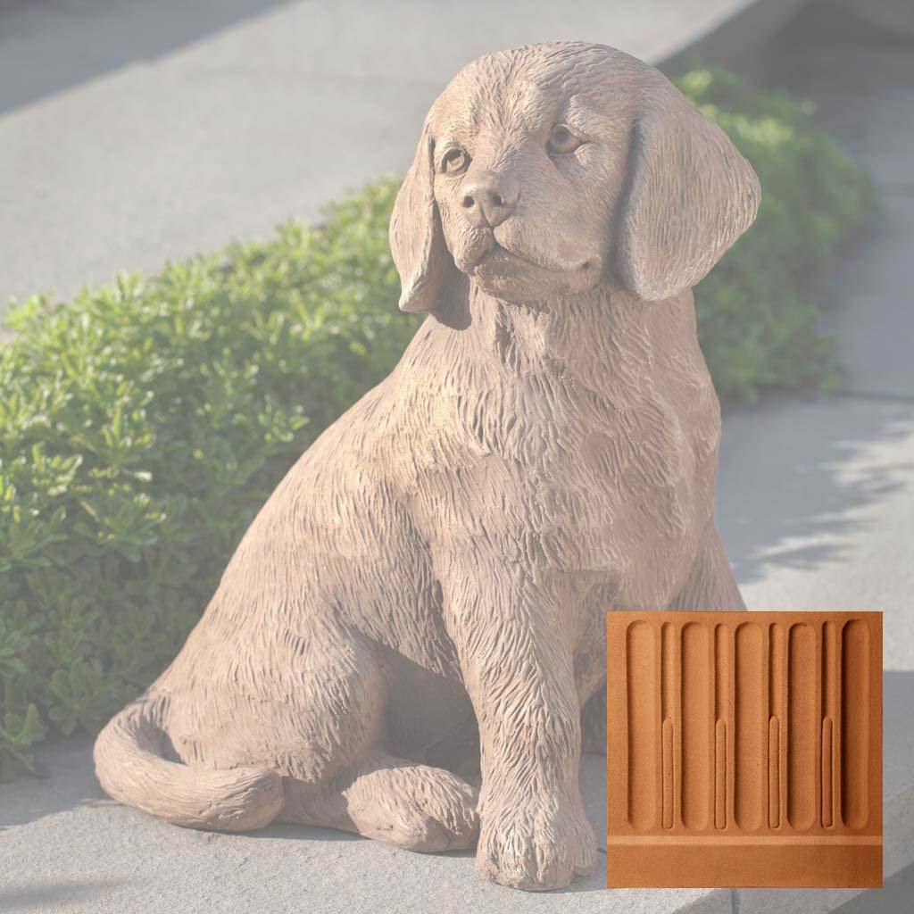 Golden Retriever Puppy