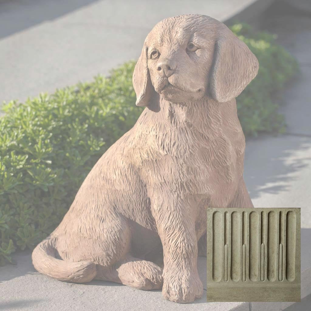 Golden Retriever Puppy