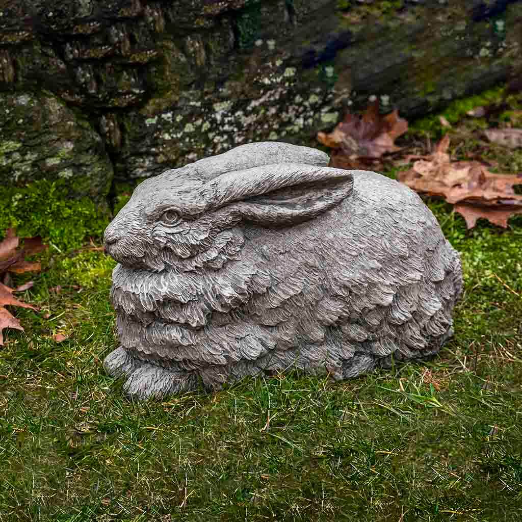 Flemish Hare
