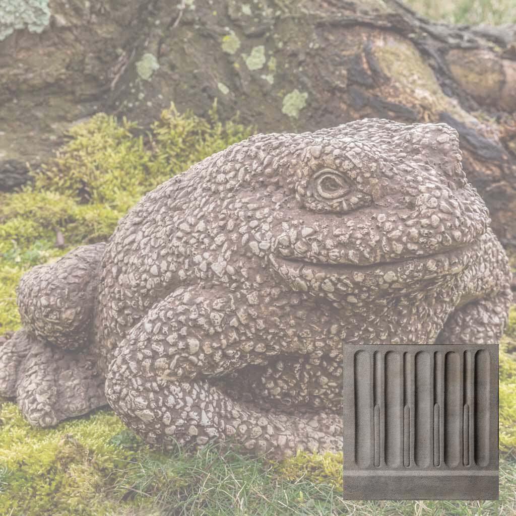Forest Toad